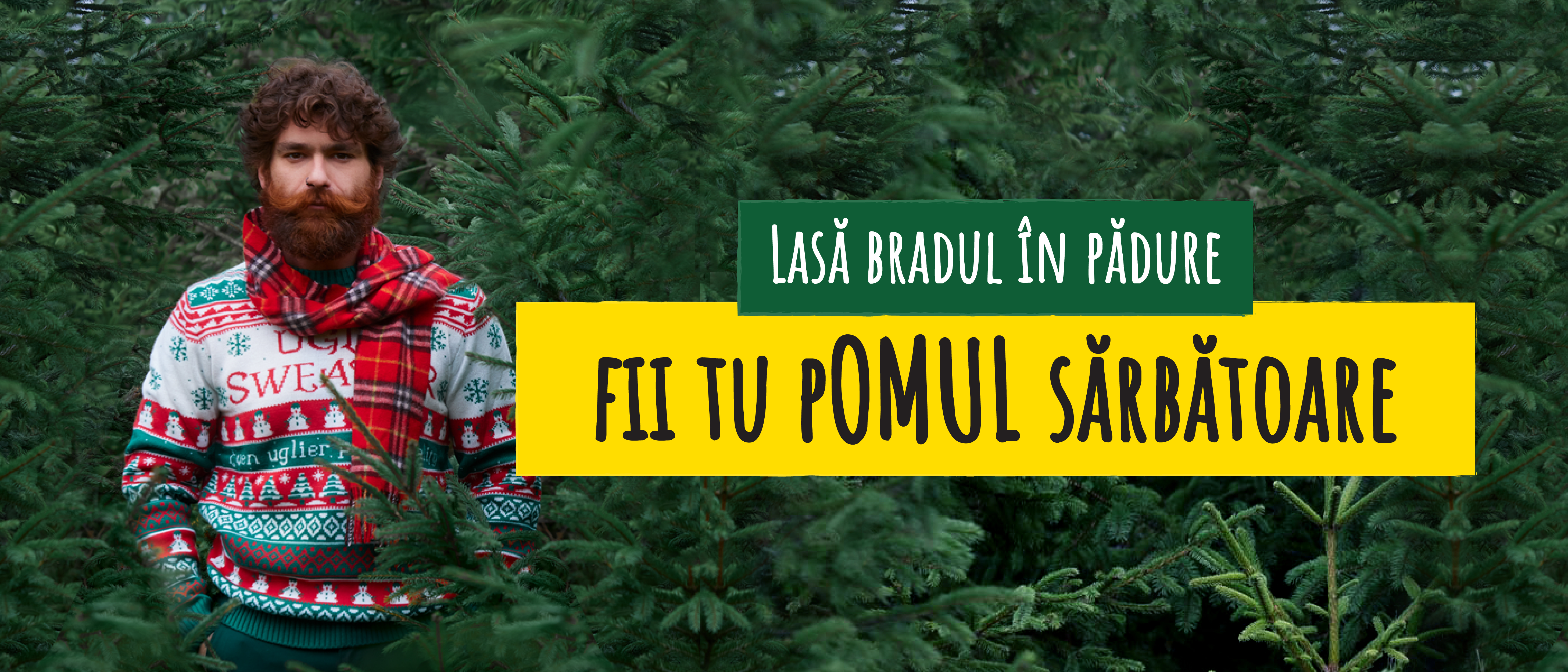 Fii Tu Sărbătoare, creează atmosferă! photo