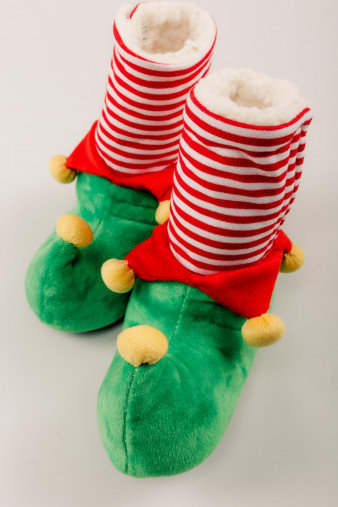 Ciupici RESERVED Iarna photo