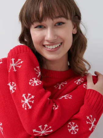 Pulover House Christmas photo 1