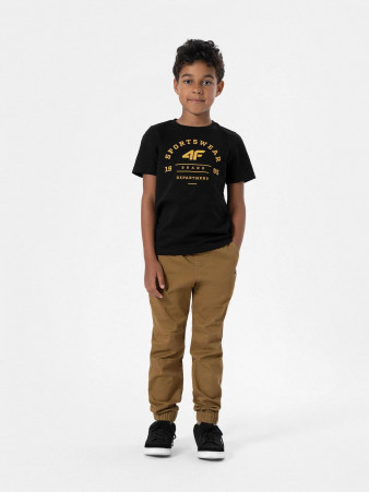 product Штаны 4F Casual